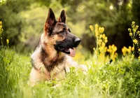 processed/dad3f353-0eff-419a-9234-e944c48b0a73/facility/57be3d99-2829-4732-8912-9f3a87258d70