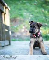 processed/dad3f353-0eff-419a-9234-e944c48b0a73/facility/78c434eb-809b-4117-a4fc-e79be6b6c33a