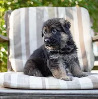 processed/dad3f353-0eff-419a-9234-e944c48b0a73/facility/7d69bf3b-3770-40ab-b528-a5de773e9f6d