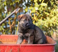 processed/dad3f353-0eff-419a-9234-e944c48b0a73/facility/9e0801fe-6d27-4d96-8a32-4ffa0e258c88