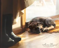 processed/dad3f353-0eff-419a-9234-e944c48b0a73/facility/c4a342da-eb6b-4e9d-b43a-47950cac0b1a