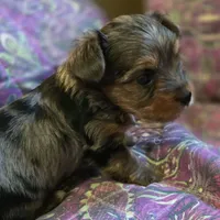 processed/dadea3a3-8f0e-4d3e-ba24-9cc8c515adb0/facility/66f983d6-2e98-4213-b3dd-ee5386e1d2c0