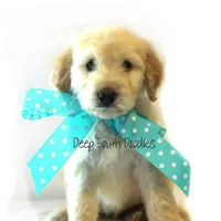 processed/dae4f0b5-5ed2-4399-86c0-cf8ec616f12b/facility/1f77c4ea-d1a1-4098-912c-f160f5297ecc