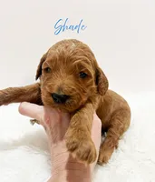 processed/dae4f0b5-5ed2-4399-86c0-cf8ec616f12b/listing/407acfbd-a4a7-4087-bf2a-3df5c0bb2902/04be707f-6a86-4797-9150-53243b1aeb88