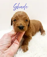 processed/dae4f0b5-5ed2-4399-86c0-cf8ec616f12b/listing/407acfbd-a4a7-4087-bf2a-3df5c0bb2902/323344f7-9759-4af2-af40-4322430b777c