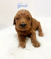 processed/dae4f0b5-5ed2-4399-86c0-cf8ec616f12b/listing/407acfbd-a4a7-4087-bf2a-3df5c0bb2902/8044a915-b865-4702-83f2-cbf9f0fa04ac