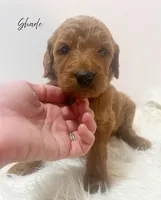 processed/dae4f0b5-5ed2-4399-86c0-cf8ec616f12b/listing/407acfbd-a4a7-4087-bf2a-3df5c0bb2902/95fb5659-ce7a-4762-8ff4-6a254f477d17