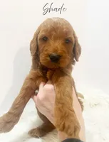 processed/dae4f0b5-5ed2-4399-86c0-cf8ec616f12b/listing/407acfbd-a4a7-4087-bf2a-3df5c0bb2902/993f6d54-24b3-43ca-86cb-431afe421e77