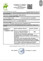 Zeus , a male English Cream Golden Retriever for sale in Demopolis, AL – Photo 4 of 4