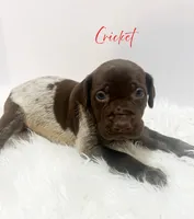 processed/dae4f0b5-5ed2-4399-86c0-cf8ec616f12b/listing/a2fa2909-d9b0-43d0-9532-f444cdca435e/002b05f1-401b-4f52-8280-167487ea9a17