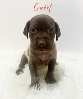 processed/dae4f0b5-5ed2-4399-86c0-cf8ec616f12b/listing/a2fa2909-d9b0-43d0-9532-f444cdca435e/5a8567b8-127d-4965-affb-f3d201a02ef3