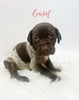 processed/dae4f0b5-5ed2-4399-86c0-cf8ec616f12b/listing/a2fa2909-d9b0-43d0-9532-f444cdca435e/5cd0963c-cf2f-4e57-87e2-b920cf0e3873