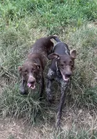 processed/dae4f0b5-5ed2-4399-86c0-cf8ec616f12b/listing/a2fa2909-d9b0-43d0-9532-f444cdca435e/a965ec35-5fcd-4605-9fa3-5cead6b96116