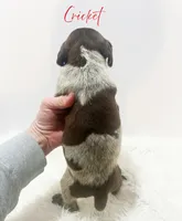 processed/dae4f0b5-5ed2-4399-86c0-cf8ec616f12b/listing/a2fa2909-d9b0-43d0-9532-f444cdca435e/d40a9ae4-2cde-4d7e-a0f1-fbdb3a0f1e26