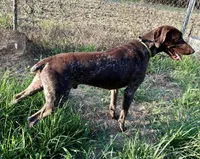 processed/dae4f0b5-5ed2-4399-86c0-cf8ec616f12b/listing/a2fa2909-d9b0-43d0-9532-f444cdca435e/dfcde35d-71b0-4921-999b-6cf220e32e99