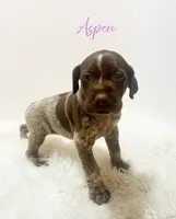 processed/dae4f0b5-5ed2-4399-86c0-cf8ec616f12b/listing/d3fa8403-01d4-4a42-b773-cd62e447026a/0f4fc68e-fe12-46bb-9842-0477449b9e81