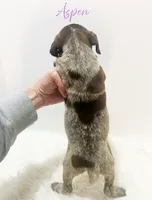 processed/dae4f0b5-5ed2-4399-86c0-cf8ec616f12b/listing/d3fa8403-01d4-4a42-b773-cd62e447026a/13d7aeff-dd12-4ffa-b565-0a97f2bb0cdd