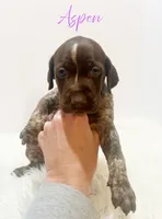 processed/dae4f0b5-5ed2-4399-86c0-cf8ec616f12b/listing/d3fa8403-01d4-4a42-b773-cd62e447026a/3dec9b12-4346-4267-a025-0f90b27fd9f1