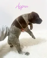 processed/dae4f0b5-5ed2-4399-86c0-cf8ec616f12b/listing/d3fa8403-01d4-4a42-b773-cd62e447026a/93276e0e-c3c7-4e2e-8cf2-ddcac2d8507a