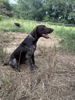 processed/dae4f0b5-5ed2-4399-86c0-cf8ec616f12b/listing/fa62ae03-c207-4917-a6ff-2a40a78a9267/3ae359f3-53cc-4096-a0fe-721bb412ed92