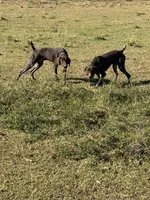 processed/dae4f0b5-5ed2-4399-86c0-cf8ec616f12b/listing/fa62ae03-c207-4917-a6ff-2a40a78a9267/8215c4e6-1e1f-4db1-8106-55529a9feb66