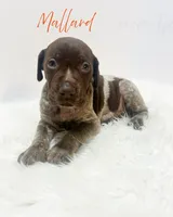 processed/dae4f0b5-5ed2-4399-86c0-cf8ec616f12b/listing/fa62ae03-c207-4917-a6ff-2a40a78a9267/92f735ac-a48d-45e2-a6a3-8af23d46f139