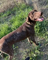 processed/dae4f0b5-5ed2-4399-86c0-cf8ec616f12b/listing/fa62ae03-c207-4917-a6ff-2a40a78a9267/9d44de16-1494-49fc-9af3-a33cc1760e5d