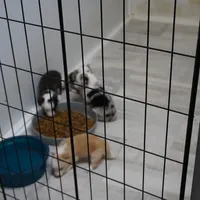 processed/dae5959a-7e5b-44ff-b9fc-7cf7400cf34f/facility/5fbdd556-6846-42c6-8bd4-4210bdaa38b7