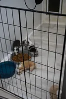 processed/dae5959a-7e5b-44ff-b9fc-7cf7400cf34f/facility/5fbdd556-6846-42c6-8bd4-4210bdaa38b7