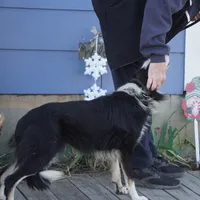 processed/dae5959a-7e5b-44ff-b9fc-7cf7400cf34f/listing/2d78b660-c412-4208-aef3-0da41d2955f4/08dc64bc-5745-43df-bee0-c8606cf7dc90