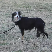 processed/dae5959a-7e5b-44ff-b9fc-7cf7400cf34f/listing/2d78b660-c412-4208-aef3-0da41d2955f4/41ffb3ea-f847-4ff5-b292-de826e480417