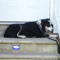 processed/dae5959a-7e5b-44ff-b9fc-7cf7400cf34f/listing/2d78b660-c412-4208-aef3-0da41d2955f4/ed62a125-4573-422e-88dc-8f4ce0218f59