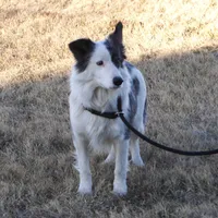 processed/dae5959a-7e5b-44ff-b9fc-7cf7400cf34f/listing/c545adb2-fbc5-498d-88b2-bae5d99dbbb5/0673d4dd-feb6-4f78-9106-3664b36f2ac7