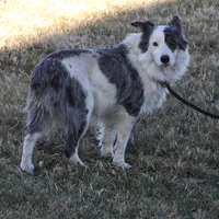 processed/dae5959a-7e5b-44ff-b9fc-7cf7400cf34f/listing/c545adb2-fbc5-498d-88b2-bae5d99dbbb5/0816382f-47bc-4b37-9b5b-49f44f5c6f88