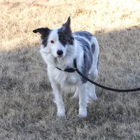 processed/dae5959a-7e5b-44ff-b9fc-7cf7400cf34f/listing/c545adb2-fbc5-498d-88b2-bae5d99dbbb5/6cbd163a-a45c-4370-8e72-b51999fedd9a