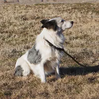 processed/dae5959a-7e5b-44ff-b9fc-7cf7400cf34f/listing/c545adb2-fbc5-498d-88b2-bae5d99dbbb5/89e0e0d5-7edb-4ddb-b684-bc6e9eb85204