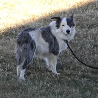 processed/dae5959a-7e5b-44ff-b9fc-7cf7400cf34f/listing/c545adb2-fbc5-498d-88b2-bae5d99dbbb5/ebd052cc-c620-48e8-b62e-d354f017a71b