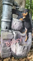 Bailey, a female Miniature Pinscher for sale in New Haven, IN – 1 of 1