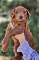 processed/db01d849-e114-438d-8ca9-031b227cdfdb/listing/5a3b3bb2-ea3f-4c4e-ad78-51cd756eec1c/1ee67043-7c56-4116-b21e-fac649042d4e