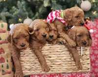 processed/db01d849-e114-438d-8ca9-031b227cdfdb/listing/5a3b3bb2-ea3f-4c4e-ad78-51cd756eec1c/50545f69-cf15-433d-9c59-83c926cd401f