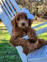 processed/db01d849-e114-438d-8ca9-031b227cdfdb/listing/5a3b3bb2-ea3f-4c4e-ad78-51cd756eec1c/d29fdc28-8fa0-4caf-988d-1b5c7e1f986d