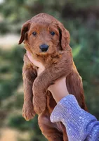 processed/db01d849-e114-438d-8ca9-031b227cdfdb/listing/5a3b3bb2-ea3f-4c4e-ad78-51cd756eec1c/df0ead60-4e6d-4e76-88d6-6c91edd4b0dc