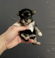 processed/db02b821-1883-44ba-8638-ec3dd09f3c87/listing/68d800d4-3661-45df-ab3f-7deef62d5f26/70662c8a-c9be-4381-9896-7a01323dd943