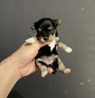 processed/db02b821-1883-44ba-8638-ec3dd09f3c87/listing/68d800d4-3661-45df-ab3f-7deef62d5f26/8b464f87-b720-449d-acac-a818641b2cd7