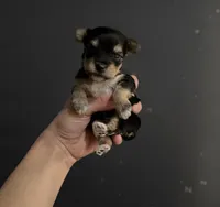 processed/db02b821-1883-44ba-8638-ec3dd09f3c87/listing/68d800d4-3661-45df-ab3f-7deef62d5f26/9b522afb-d7bb-4b22-af17-7aef11e50396