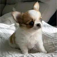 processed/db0ff681-b7f8-41e0-9f6d-073f65d949af/facility/a2825683-1fa5-45db-806e-03cd257dcd36