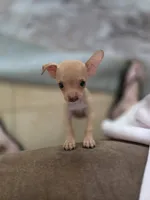 processed/db0ff681-b7f8-41e0-9f6d-073f65d949af/listing/54c69077-c5c2-42f5-a442-65a06337262d/7aeb278b-c89f-48cf-ace0-9b5aac767c30