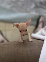 processed/db0ff681-b7f8-41e0-9f6d-073f65d949af/listing/54c69077-c5c2-42f5-a442-65a06337262d/8ca0c668-4e3c-4985-9ce9-decdf6d27ca9