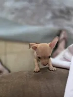 processed/db0ff681-b7f8-41e0-9f6d-073f65d949af/listing/54c69077-c5c2-42f5-a442-65a06337262d/d5b3d54f-798a-4b4e-9bf8-df12660680f2