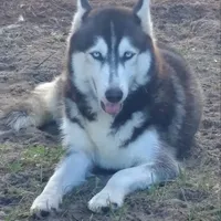 processed/db1077a4-6136-4408-873e-0cb0076291d1/facility/013aabbb-fbdc-4342-9944-3fab8776562e